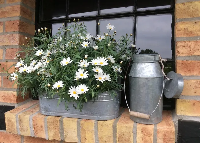 Apartment Ferienwohnung 