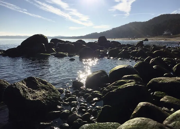 Apartment Ferienwohnung 