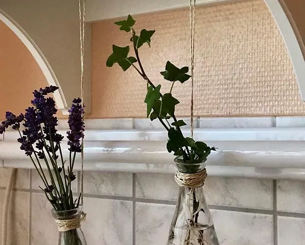 Apartment Ferienwohnung 